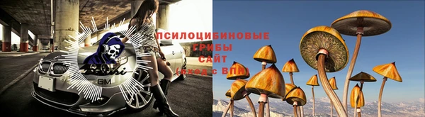 СК Гусиноозёрск