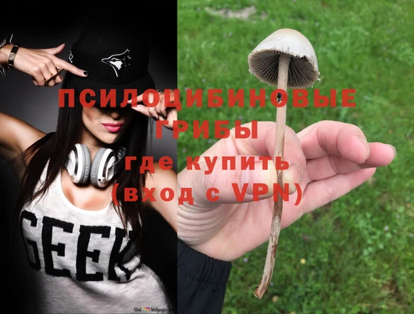 соль курить ск Гусев